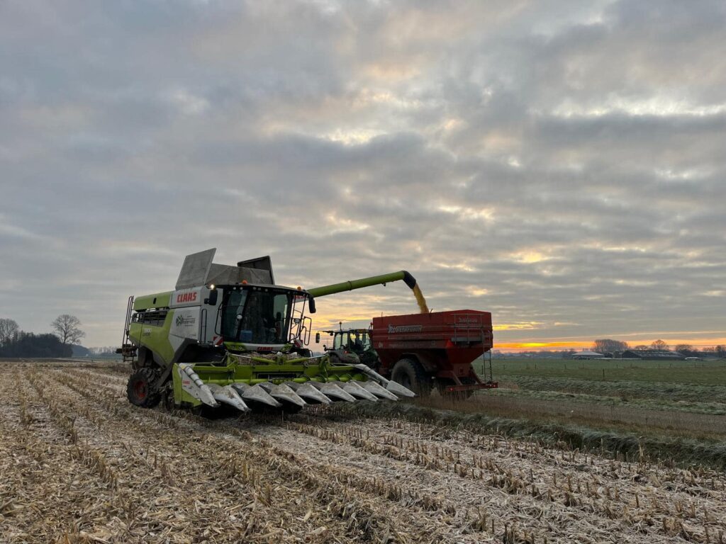 Maisoogst 2025!