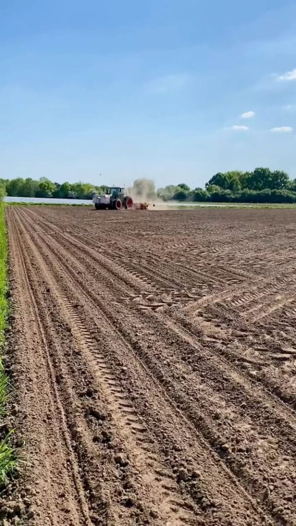 𝐇𝐞𝐭 𝐳𝐚𝐚𝐝𝐣𝐞 𝐯𝐚𝐧 𝐢𝐞𝐭𝐬 𝐇𝐄𝐄𝐋 𝐥𝐞𝐮𝐤𝐬 𝐢𝐬 𝐠𝐞𝐩𝐥𝐚𝐧𝐭!  Op een zonnige dag ongeveer een weekje gel…