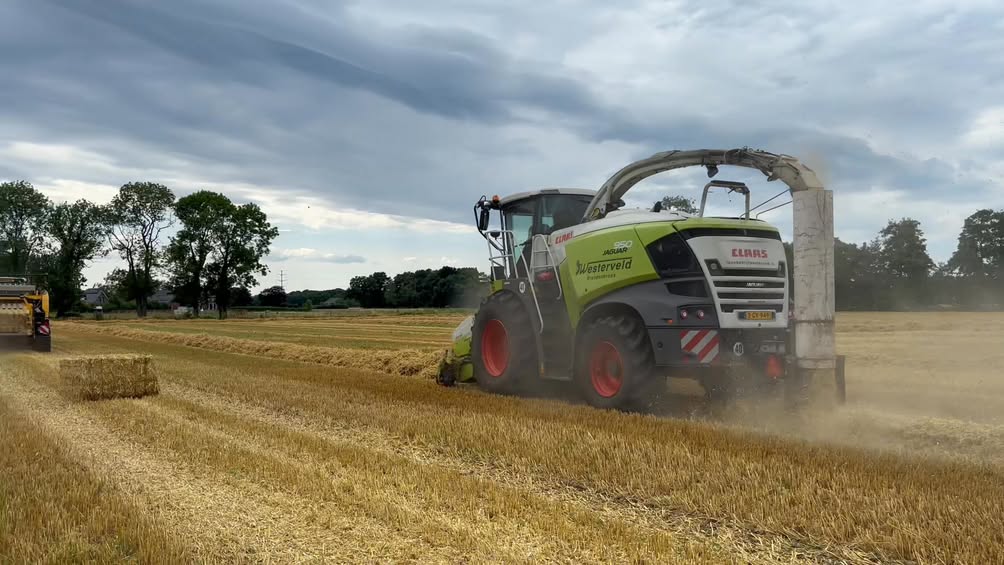 Vanmiddag persen we balen van stro dat we voortijd hakselen op een lengte van 20 mm. Deze dienen als voer voor de koeien…