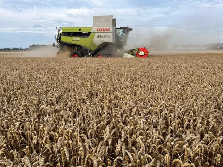 Vandaag zijn de laatste stro balen van het land gehaald, waarmee we graanoogst 2025 hebben afgesloten! De gemiddelde opb…